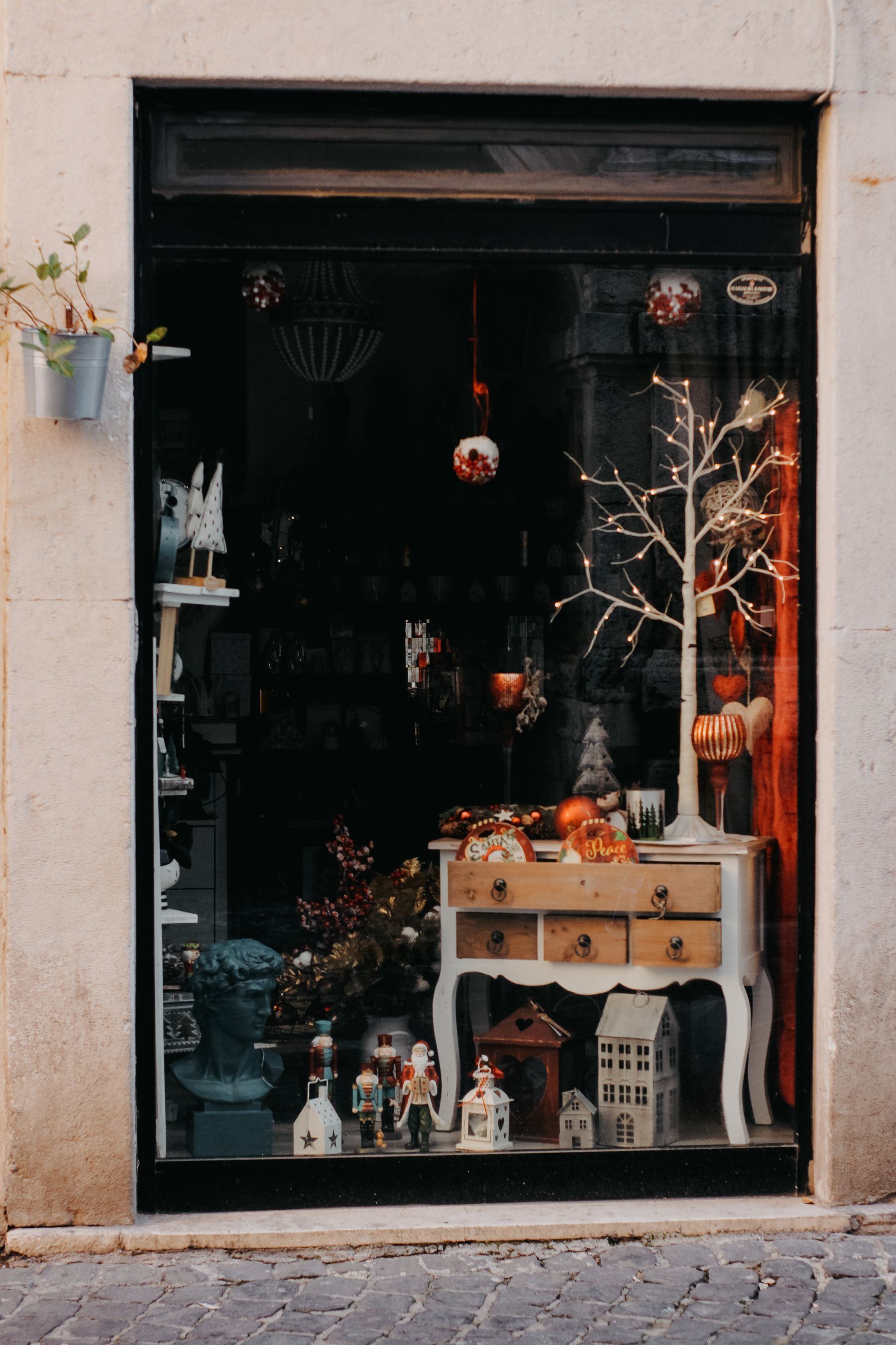 A boutique shop window with a white branch tree, antique chest and festive objects