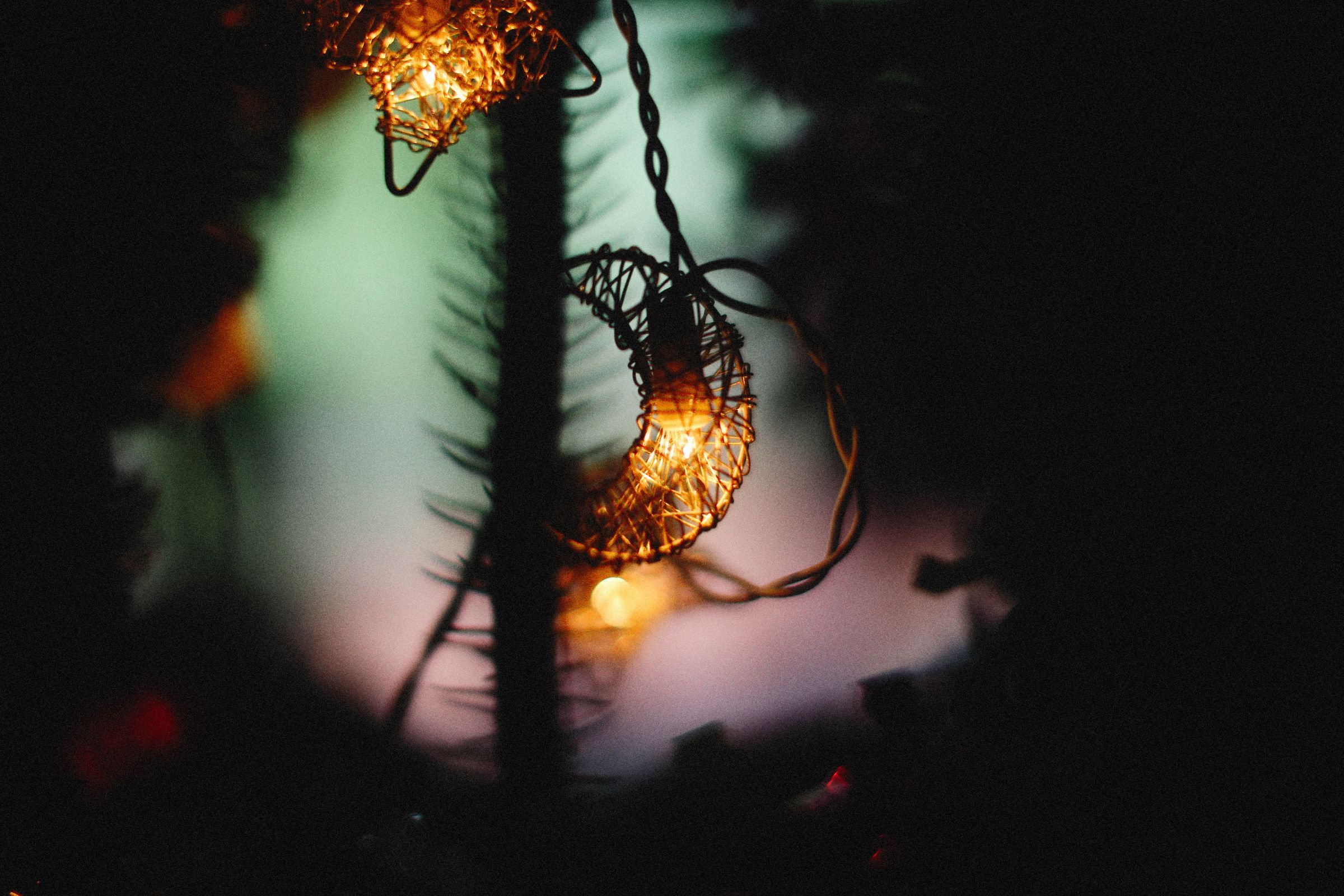 A glowing lantern ornament hanging from a branch in the dark