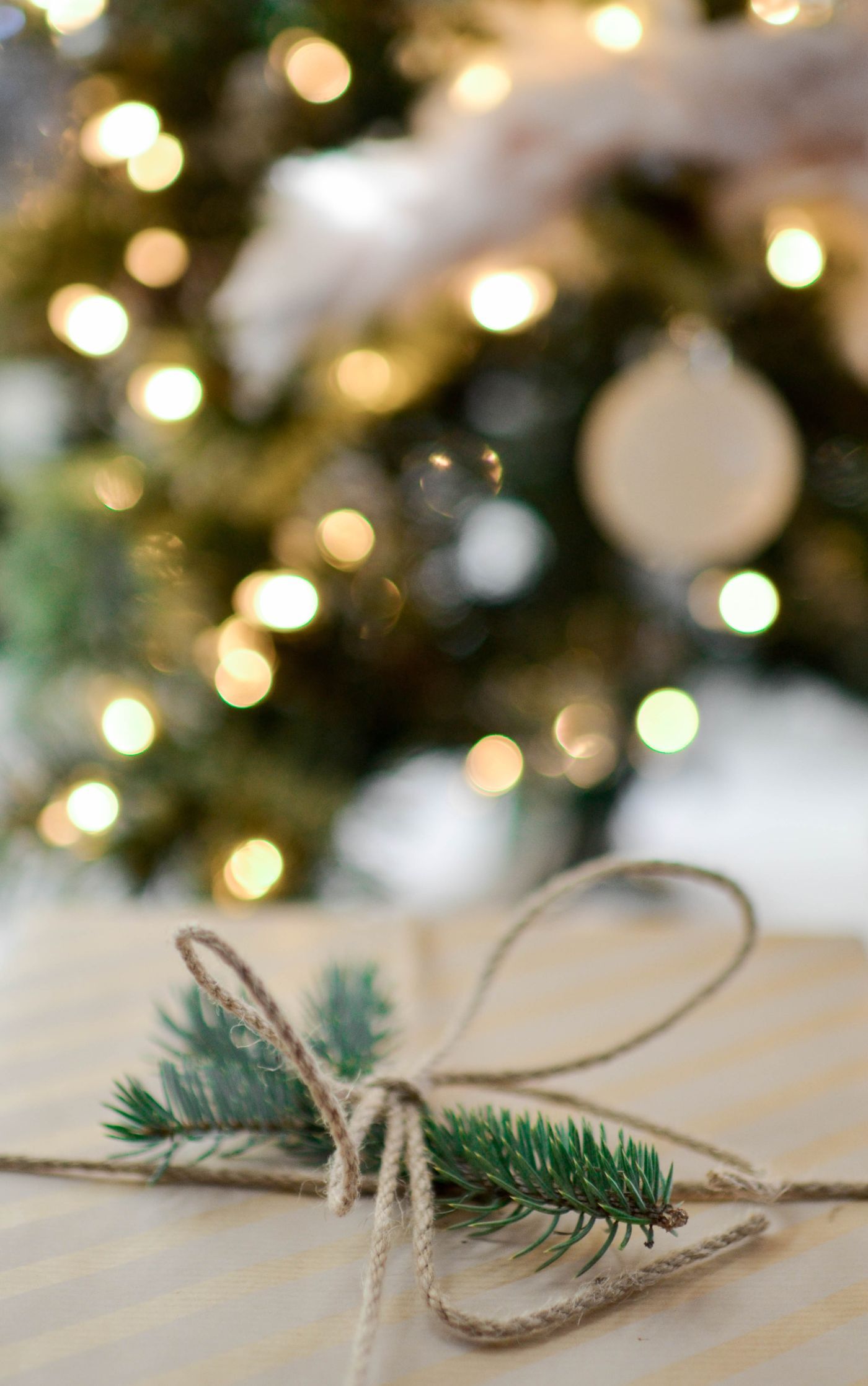 A parcel tied with twine and a sprig of pine in front of glowing tree lights